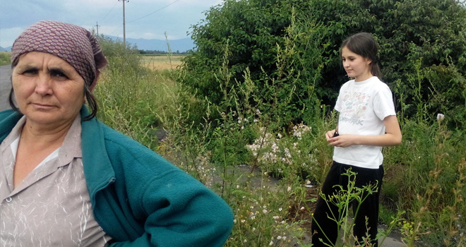 тысячелистник